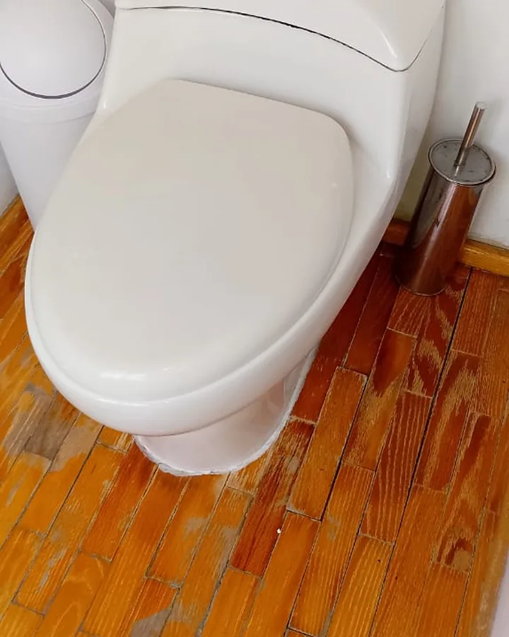 WC de una pieza instalado sobre piso de madera