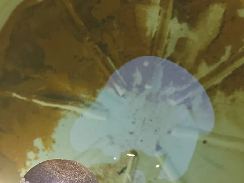 Fondo de tinaco con lodo y sedimento antes de la limpieza